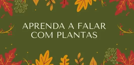 Aprendiendo a hablar con las plantas: fomentar el crecimiento