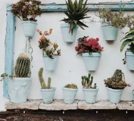 Jardim com vasos: Veja as melhores formas de decorar o seu