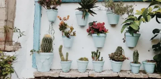 Garden with pots: See the best ways to decorate yours