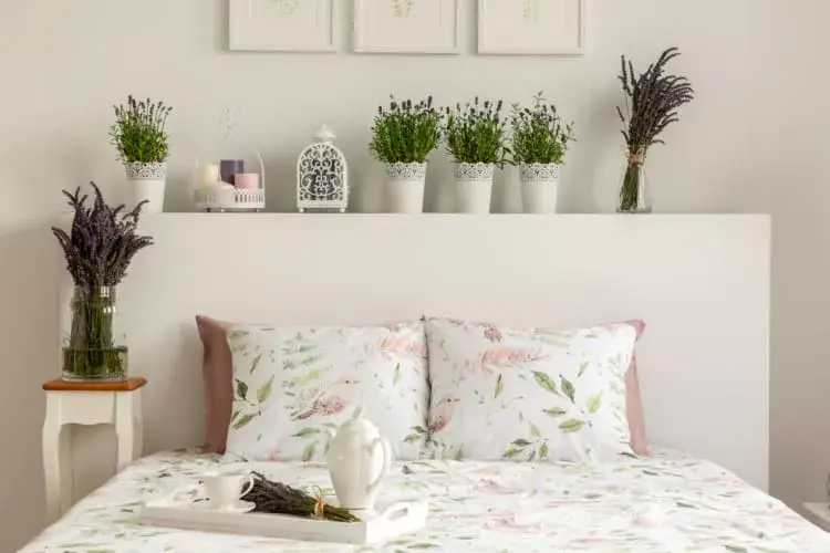 Quarto com Plantas - Fonte Google Imagens