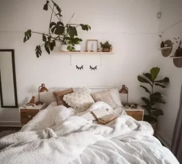 6 ideias para decorar o quarto com plantas
