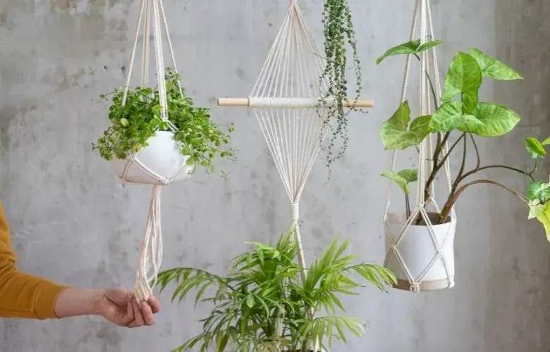 Quarto com Plantas - Fonte Google Imagens