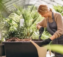 Comment faire un beau jardin en dépensant peu