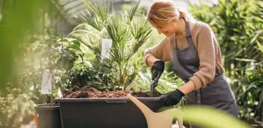 How to Make a Beautiful Garden Spending Little