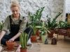 7 Plantas que Reenergizam e Purificam o Ambiente 